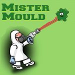 Mister Mould