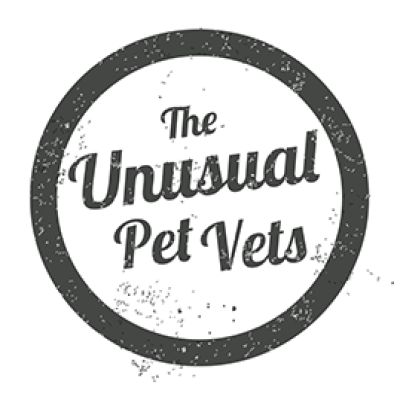 The Unusual Pet Vets