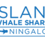 Three Islands Whale Shark Dive